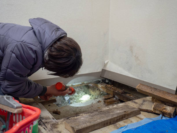 Best Post-Remediation Verification Testing  in Richton Park, IL