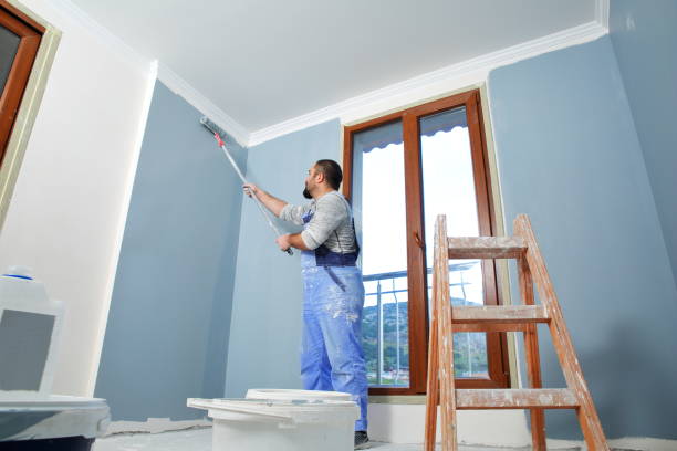 Best Mold Documentation for Insurance Claims  in Richton Park, IL