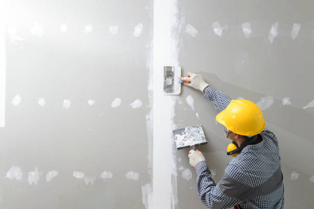 Trusted Richton Park, IL Mold Removal Experts