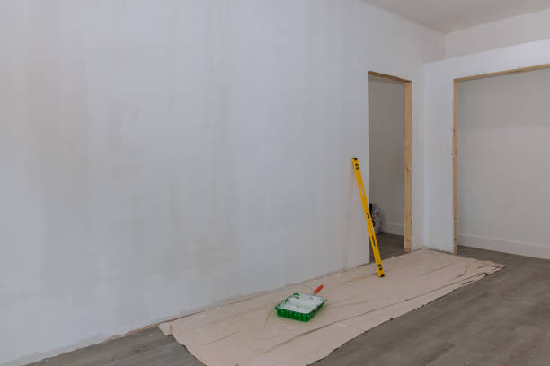 Best Black Mold Removal  in Richton Park, IL
