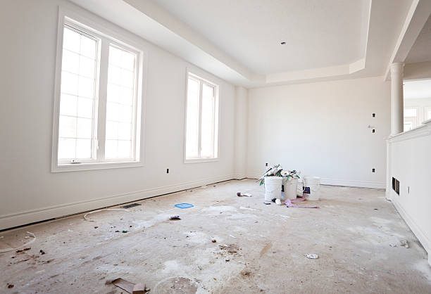 Best Mold Prevention Services  in Richton Park, IL