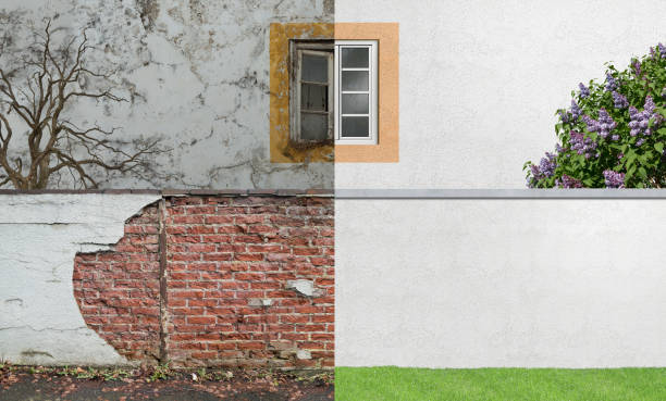 Best Commercial Mold Inspection  in Richton Park, IL