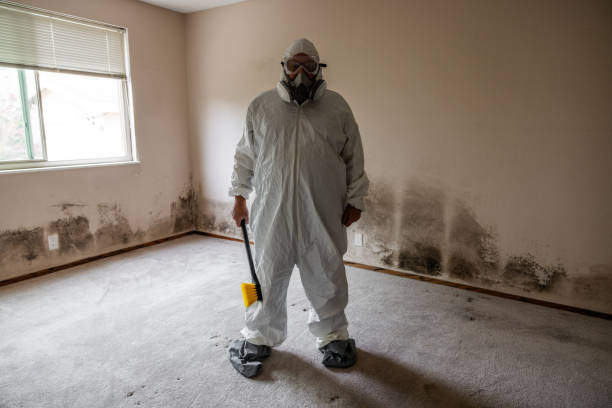 Best Comprehensive Air Testing for Mold Contaminants  in Richton Park, IL