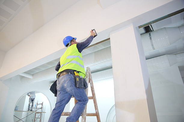  Richton Park, IL Mold Removal Pros