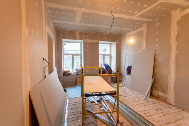 Best Emergency Mold Remediation  in Richton Park, IL