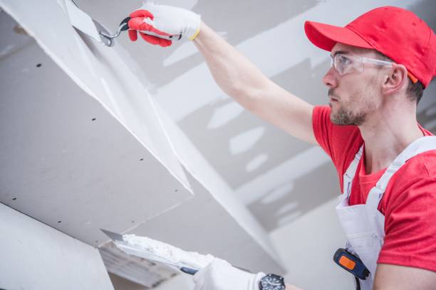 Best Crawl Space Mold Remediation  in Richton Park, IL